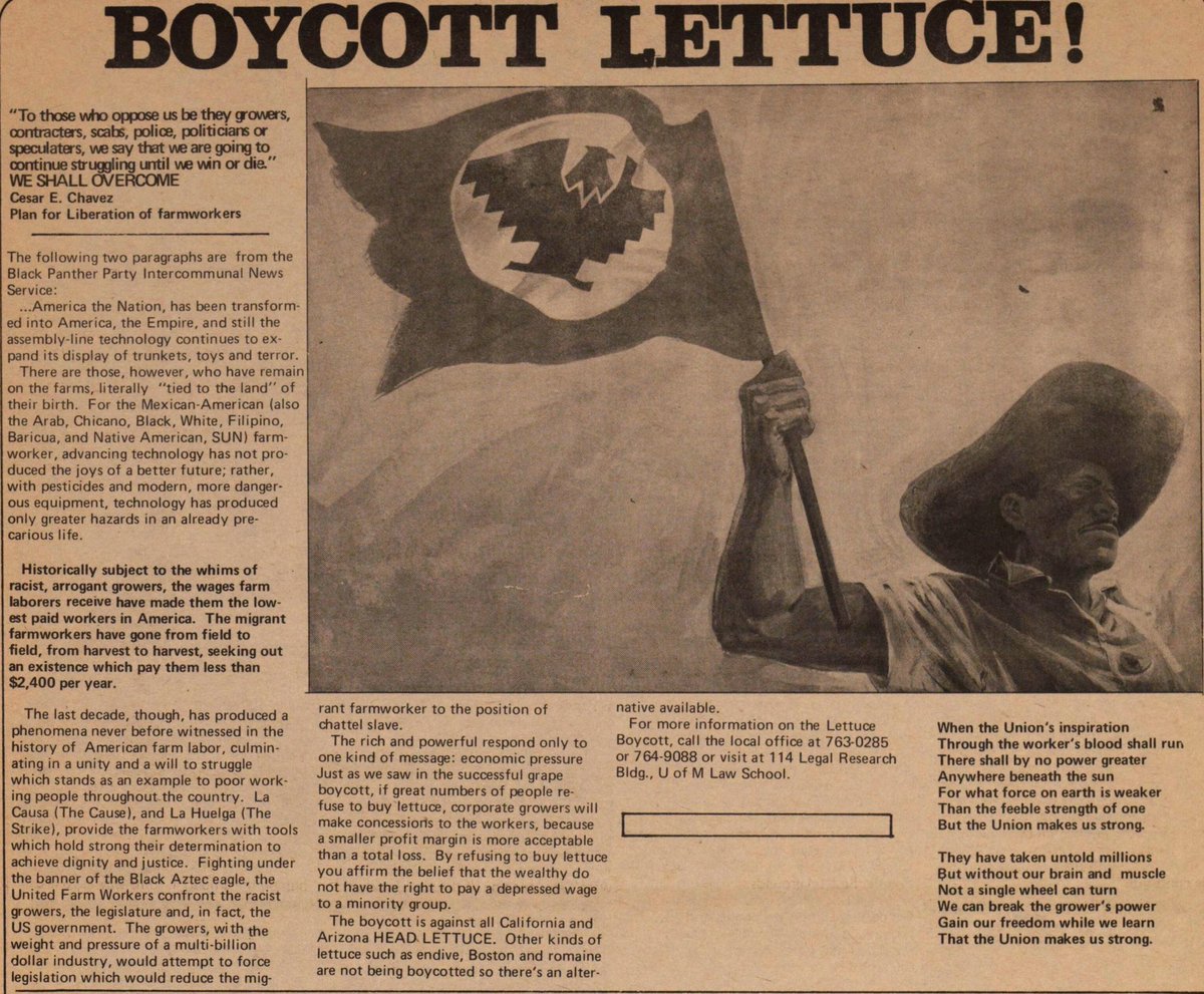The lettuce boycott, supporting the ‘Salad Bowl Strike’ in the Salinas Valley, led to the revolutionary California Agricultural Labor Relations Act in 1975: the first time farm workers had a protected right to form unions and collectively bargain.Boycotts change the world.