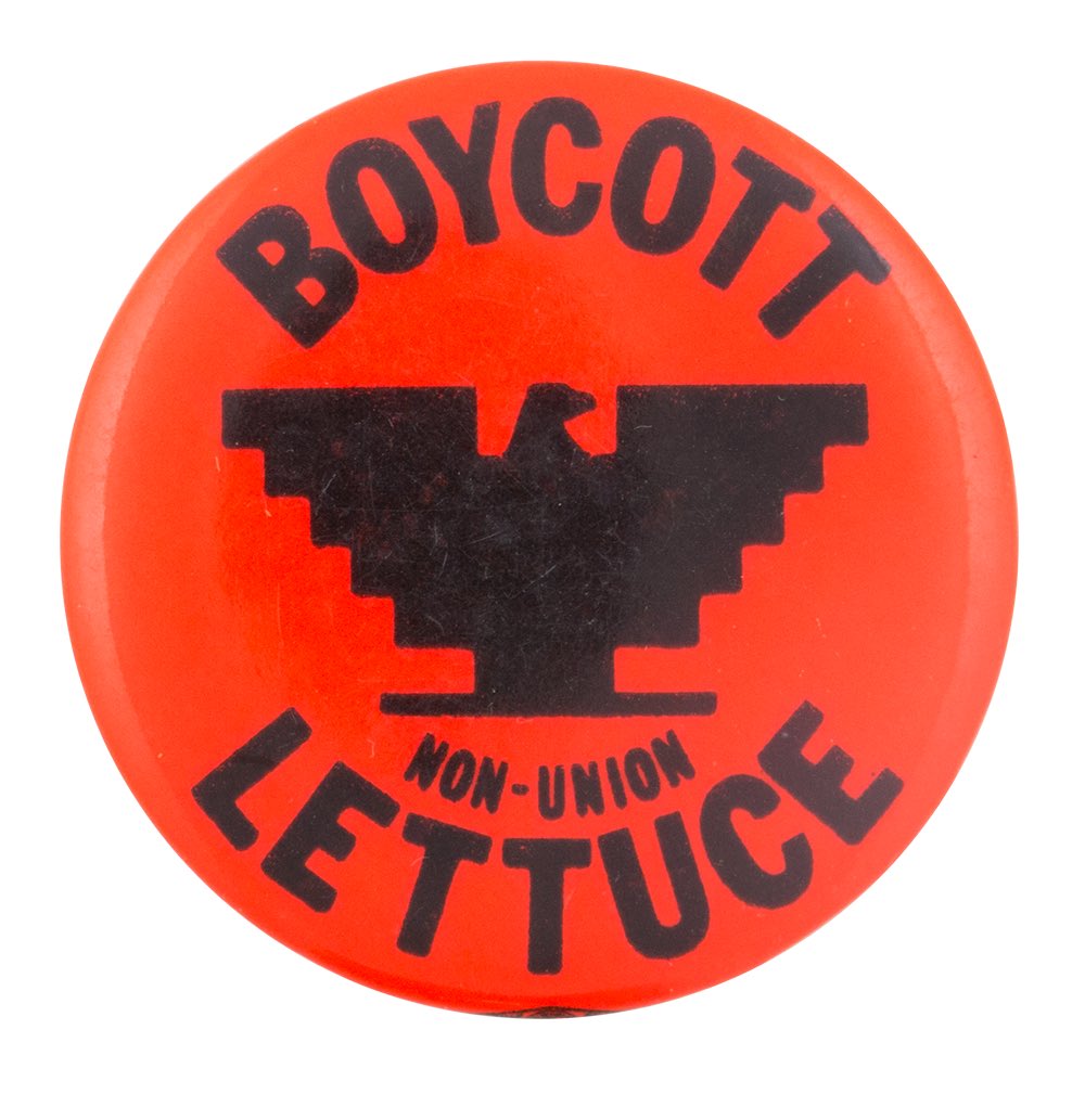 The lettuce boycott, supporting the ‘Salad Bowl Strike’ in the Salinas Valley, led to the revolutionary California Agricultural Labor Relations Act in 1975: the first time farm workers had a protected right to form unions and collectively bargain.Boycotts change the world.