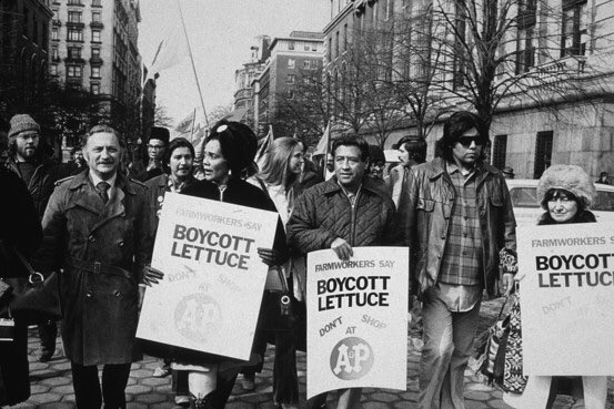 The lettuce boycott, supporting the ‘Salad Bowl Strike’ in the Salinas Valley, led to the revolutionary California Agricultural Labor Relations Act in 1975: the first time farm workers had a protected right to form unions and collectively bargain.Boycotts change the world.