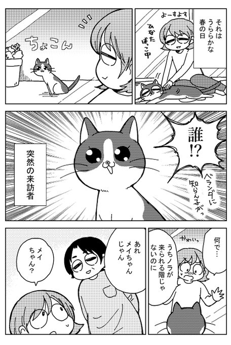 かわいいお客さんが来たときのお話。 