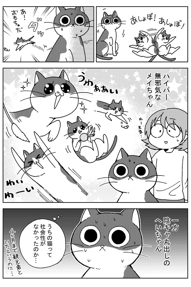 かわいいお客さんが来たときのお話。 