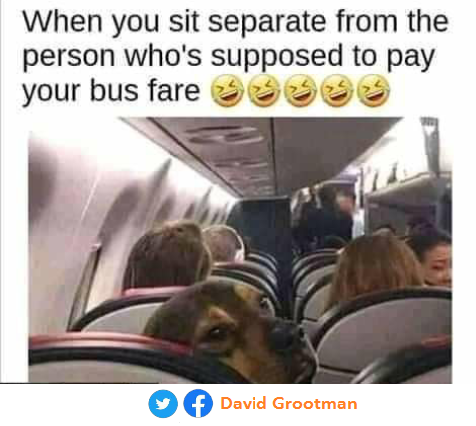 David_Grootman's tweet photo. https://t.co/MDArH35oJL