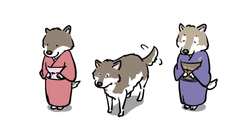 dog kimono japanese clothes white background simple background obi sash  illustration images