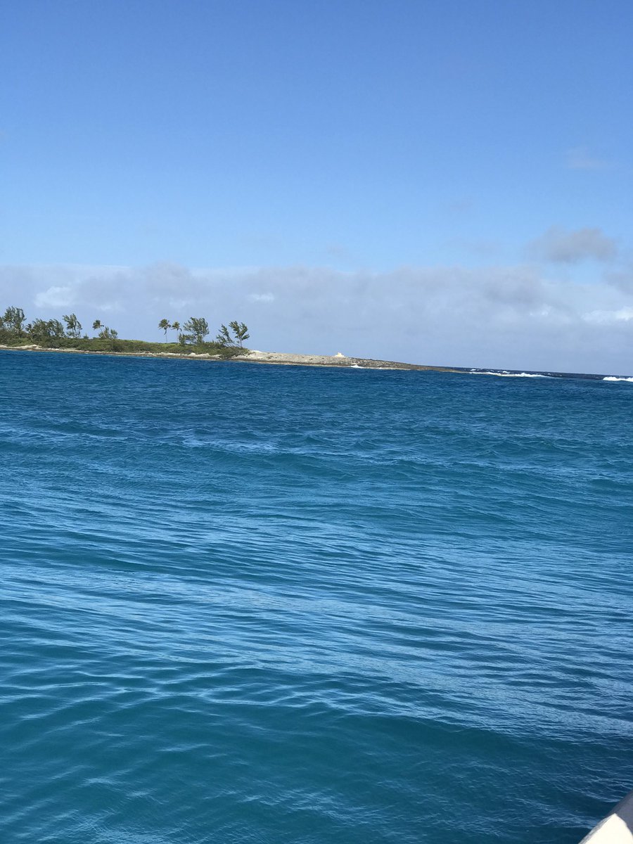 lynx_nine99's tweet photo. My country is a lil ting aye 😍 #HappyIndependenceBahamas 🇧🇸🇧🇸🇧🇸🇧🇸🇧🇸🇧🇸🇧🇸🇧🇸🇧🇸🇧🇸🇧🇸🇧🇸🇧🇸🇧🇸🇧🇸🇧🇸🇧🇸🇧🇸🇧🇸🇧🇸🇧🇸🇧🇸🇧🇸🇧🇸 #est1973 https://t.co/YnJ4iaUuWb