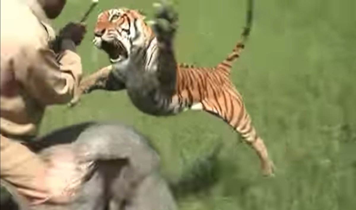 "WANNA KISS ME, DUCKIE?"