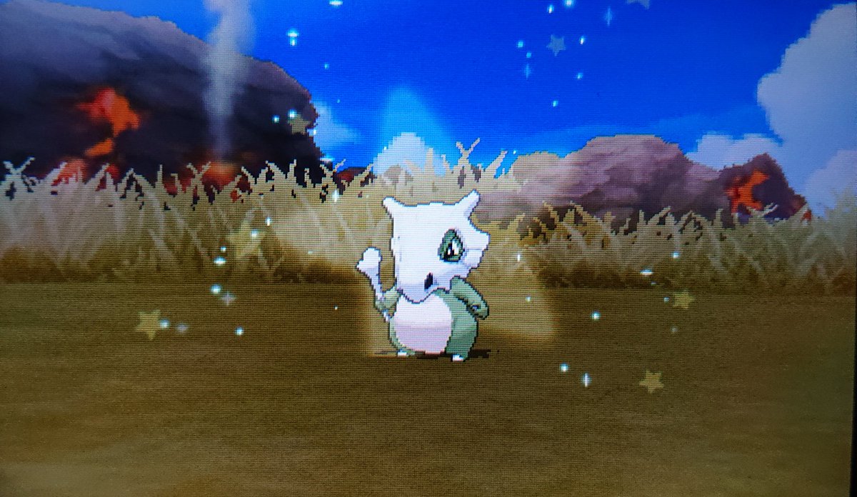 Hashtag ポケモンusum Na Twitteru