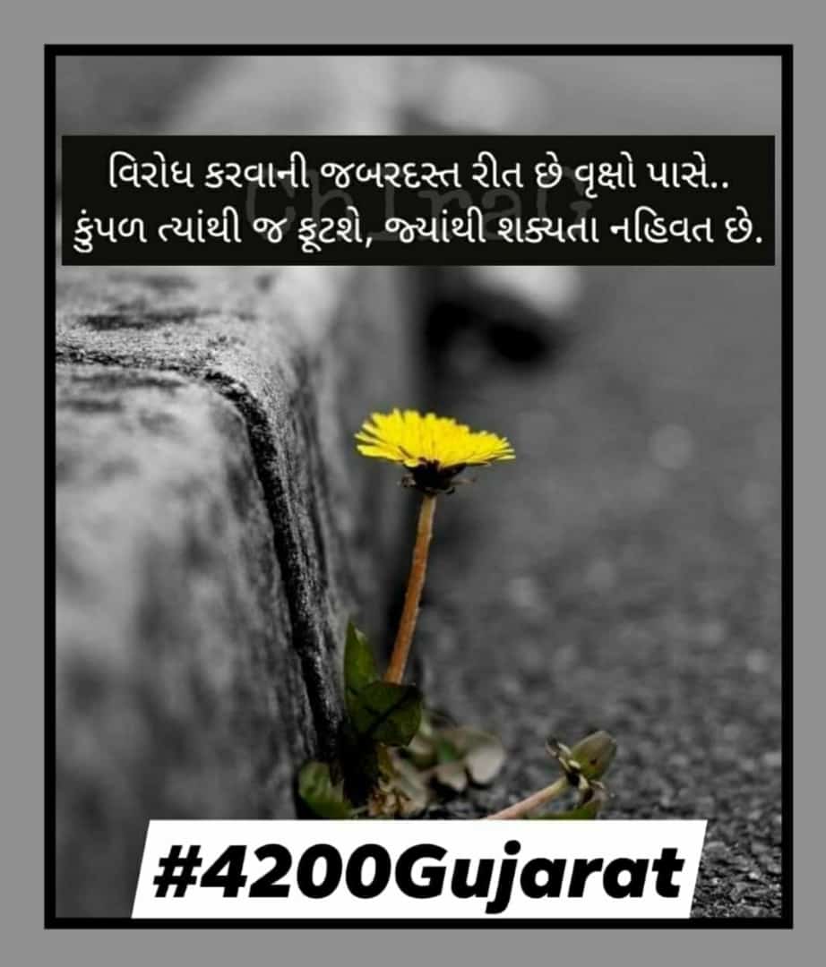 pragnesh chaudhari (@pragnesh2614) on Twitter photo 