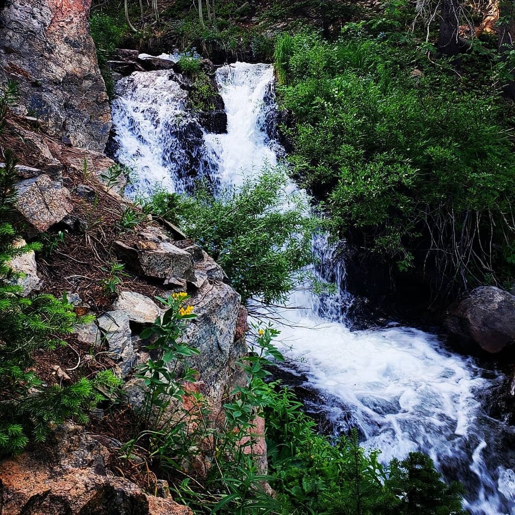 VisitRMNP's tweet photo. Water tumbles down Chaos Creek on a warm summer afternoon. #visitrmnp https://t.co/RMXJBlZe1g https://t.co/0YNRuj6pW3