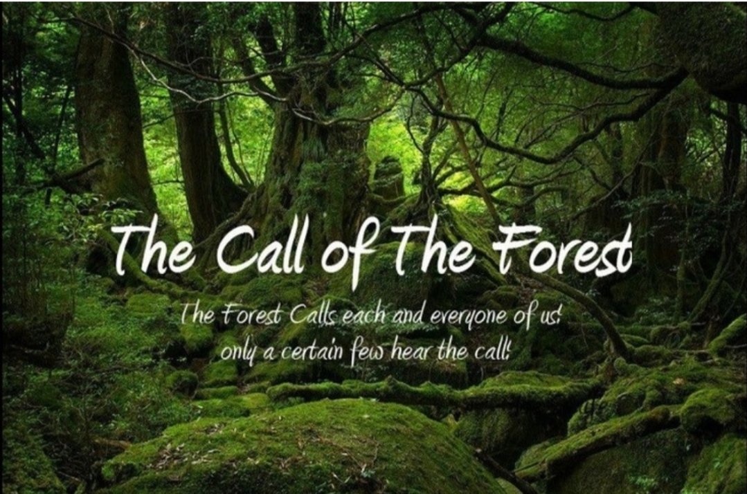 Reangkham2's tweet image. The call of the Forest will never hear by recruiting other graduates (eg: science,arts, engineering etc), it&apos;ll only hear by the forestry graduates.
@PMOIndia @narendramodi @NBirenSingh @fosam5 @TheSangaiExpres