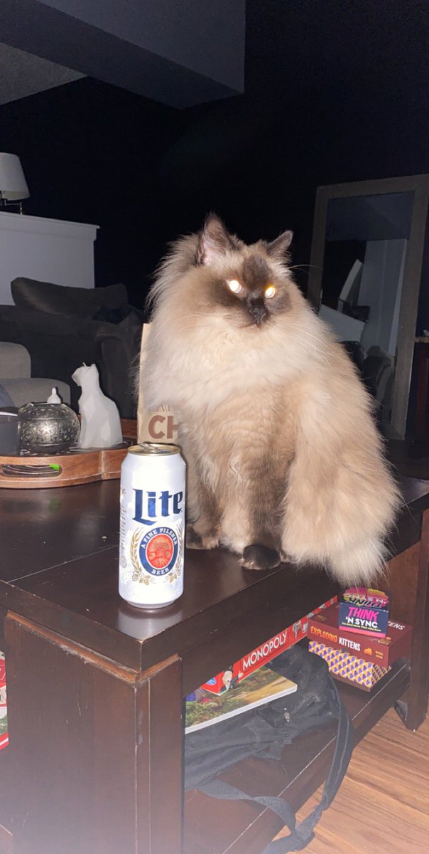 WesMiller123's tweet photo. Cats got good taste @MillerLite https://t.co/ok98SMSo6g