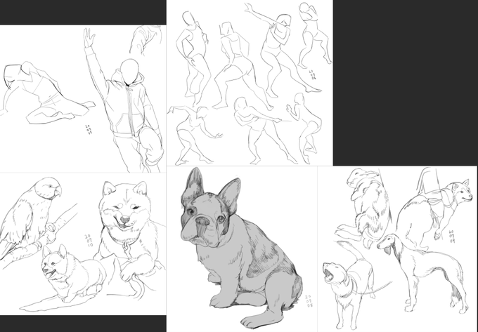 【練習】動物描くと癒やし効果あるわ・・ 
