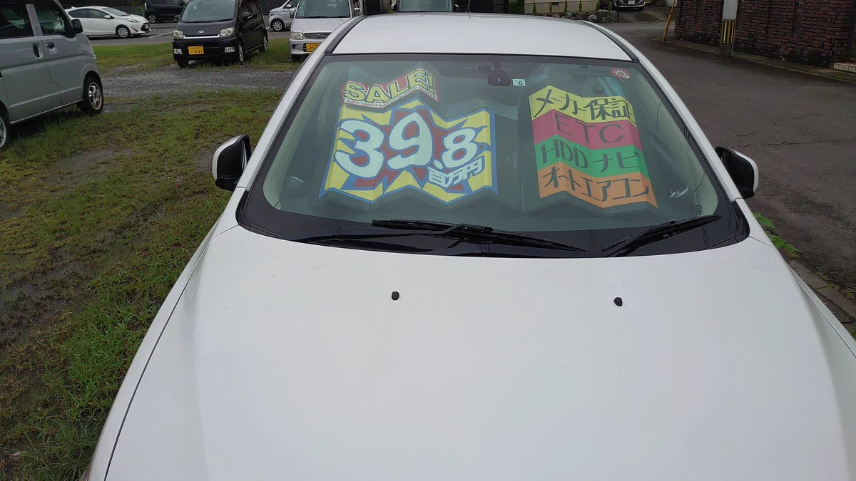 面白いサンシェードあったから使ってみた結果⇒親から心配されたｗｗ