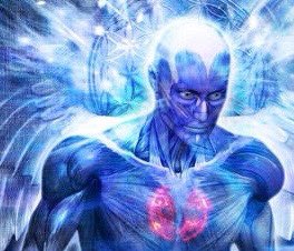 dumb bitch tweet media