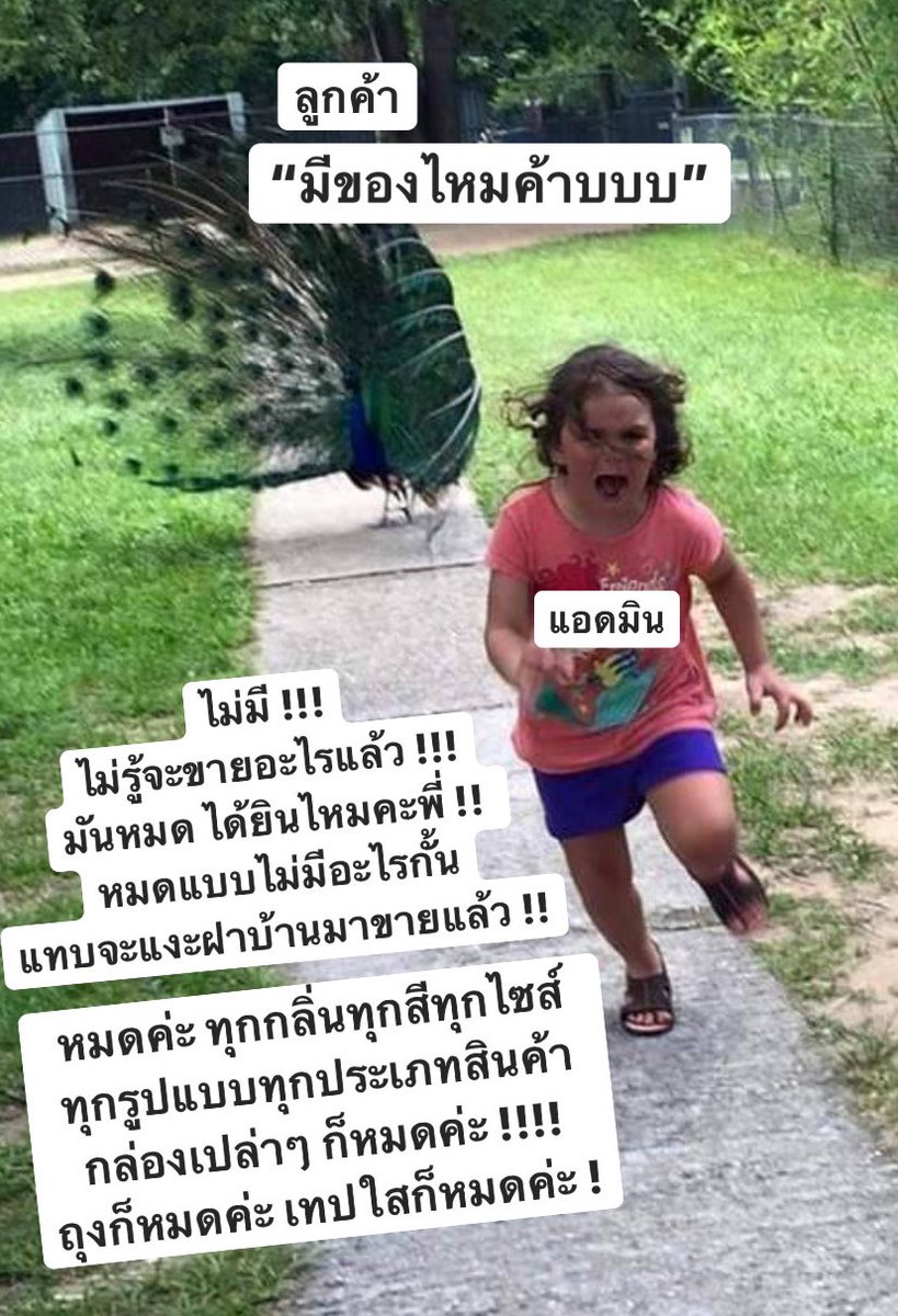 𝗔𝗥𝗔𝗠𝗢 𝗔𝗥𝗢𝗠𝗔 tweet media
