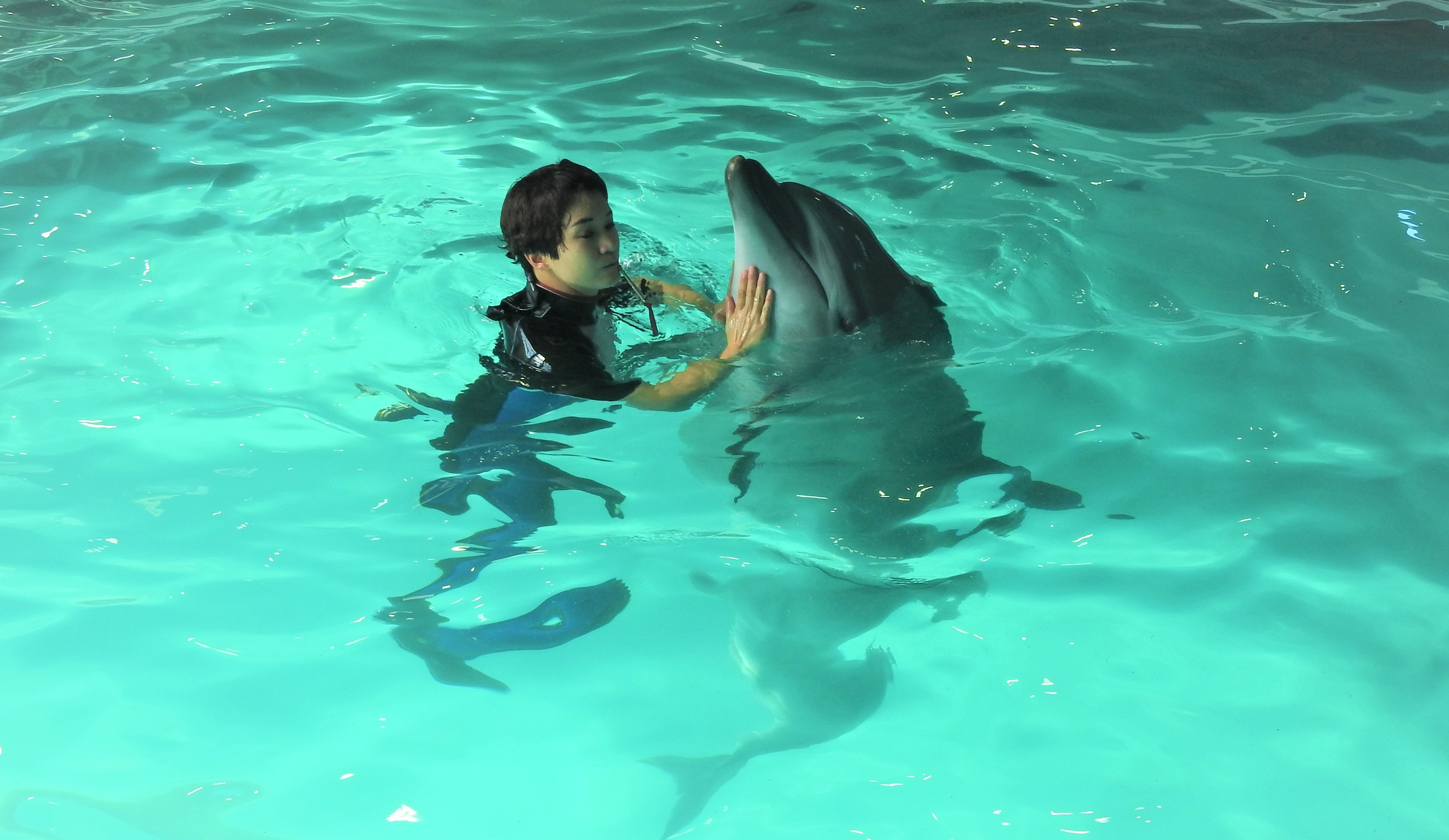 おたる水族館 on X: 