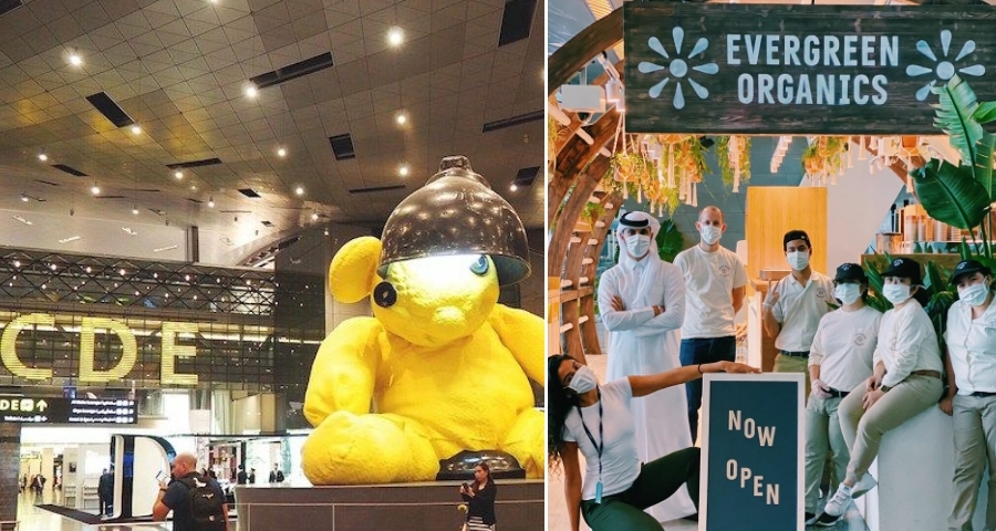Qatar's International Airport (Doha) Gets Its First Vegan Café veganfirst.com/article/qatar-…