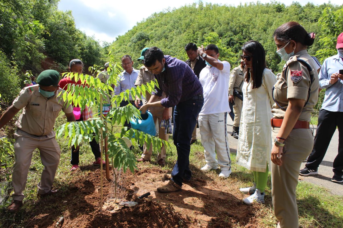 Churachandpur Forest tweet media