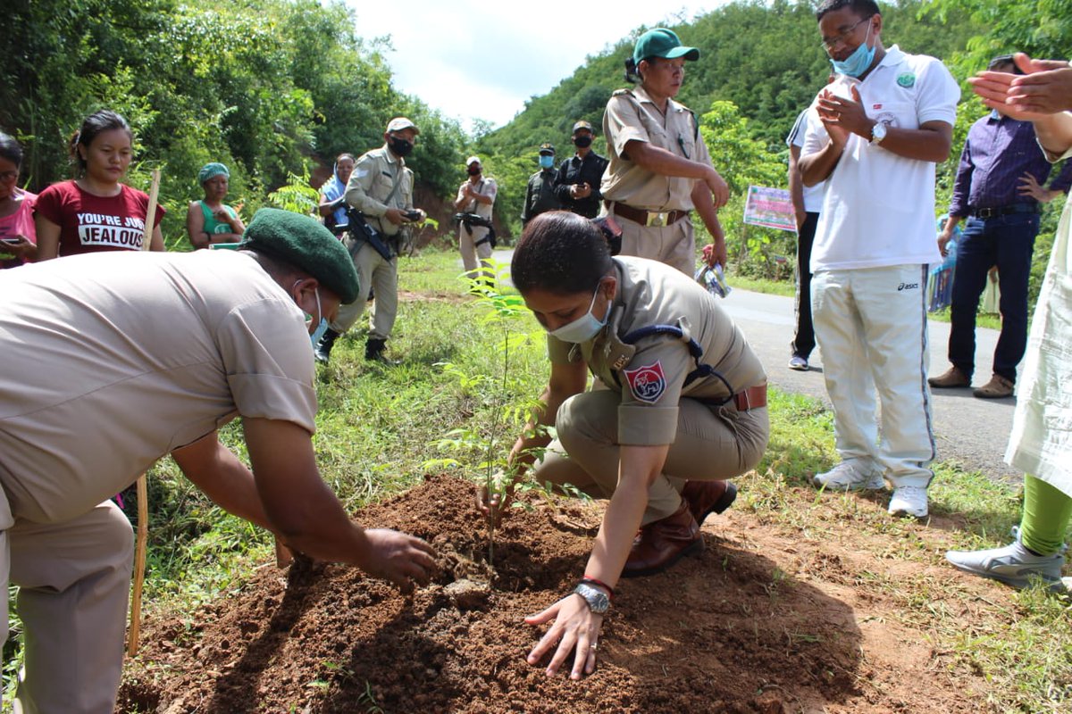 Churachandpur Forest tweet media