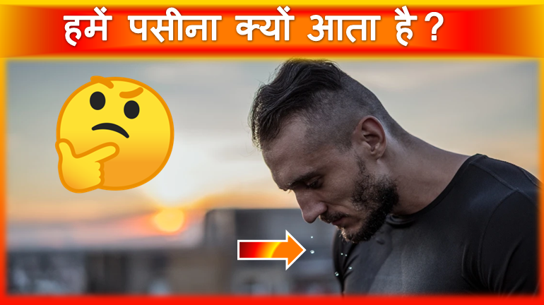 IamFactsMaster's tweet photo. हमें पसीना क्यों आता है? | Why Do We Sweat? | Facts Episode 14.
Watch This Video On My YouTube Channel | FACTS MASTER
LINK = https://t.co/m5s5tvkyqe
#FACTSMASTER #FACTS_MASTER #FACTS_MASTER_Facts_Episode_14 #FACTS_MASTER_Why_Do_We_Sweat? https://t.co/o5f5iV8gsT