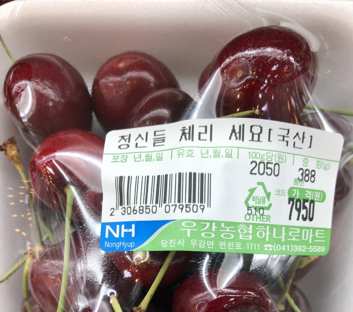 ㅋㅋㅋㅋㅋㅋㅋ