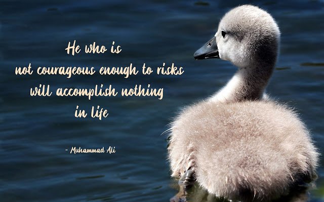 Inspirational quote for courageous from Muhammad Ali #quote
#coronavirus #books #TrumpIsNotWell #success
#succession #SushantSinghRajput

thinkreflectandwrite.blogspot.com/2020/07/courag…