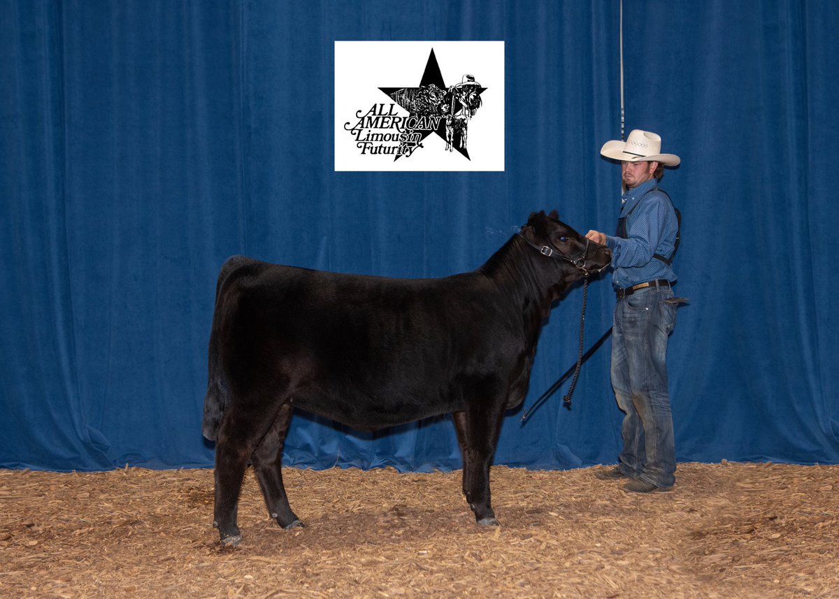ColtonBarton4's tweet photo. Little late on a Limi Jr National post for Twitter, but a fun and successful week was had in West Monroe! https://t.co/kmnhhEvwic