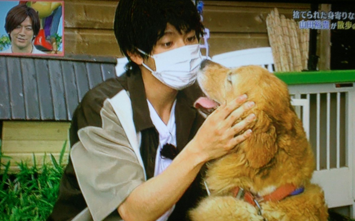 天才 志村どうぶつ園で 山田くん が話題に 4ページ目 トレンドアットtv 天才 志村どうぶつ園で 山田くん が話題に 4ページ目 トレンドアットtv