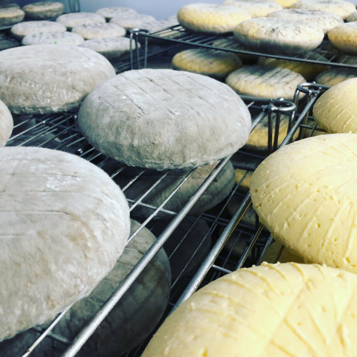 It still amazes us how their woolly coats form!🧀
#woollycheesecoat #barkhamblue #artisancheese