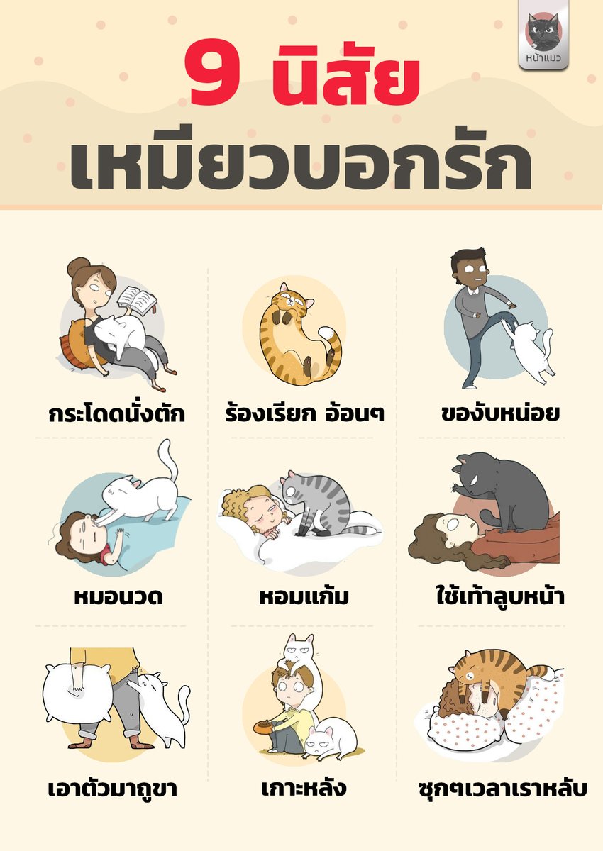 nhamaew's tweet photo. ใครไม่รัก แต่แมวรัก ก็โอเคร้ 😼💘
เหมียวเพื่อนๆมีวิธีบอกรักกันแบบไหนบ้าง มาแชร์กันนน
ภาพประกอบน่ารักๆ : lingvistov , เพจหน้าแมว #แมว #ทาสแมว https://t.co/kbrEfHHHEG