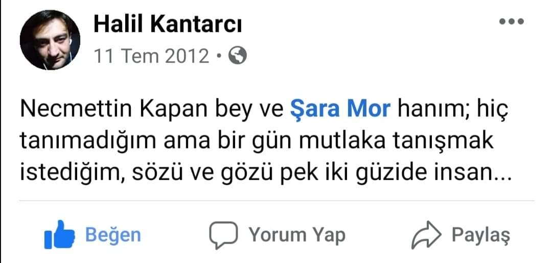 şara mor tweet media