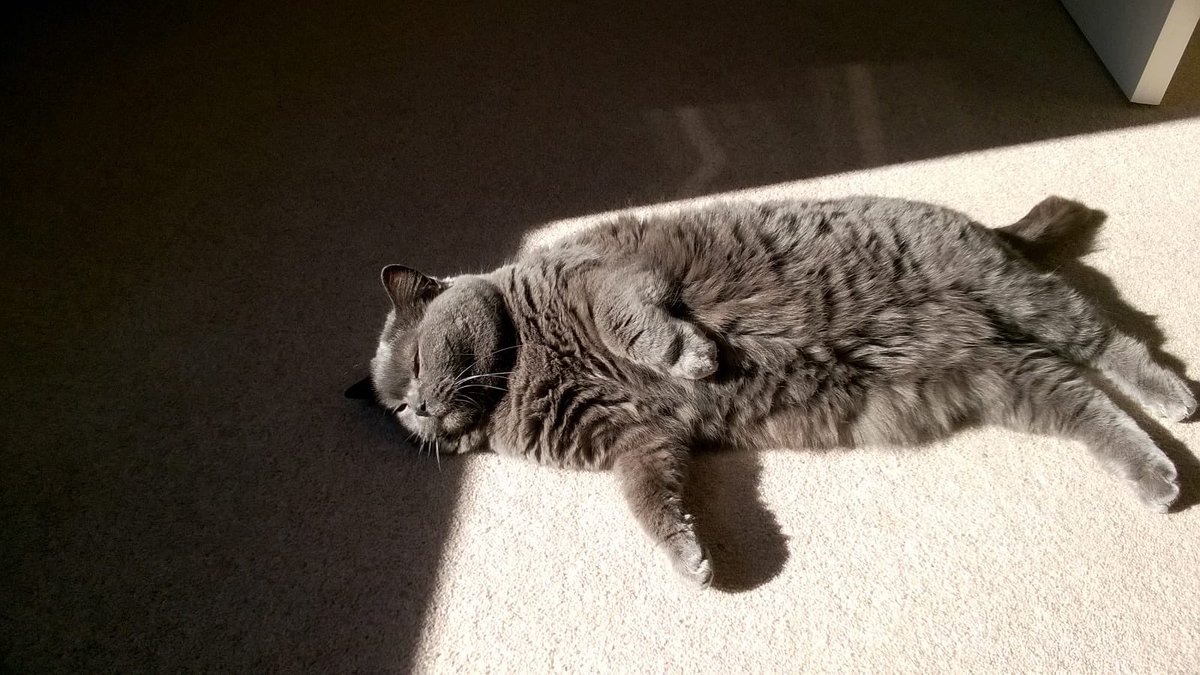 Binky (@cat_binky) on Twitter photo <a href="/MunchPudding/">Munch Pudding™️ 🐈⬛ ✌🏼 💙💛</a> <a href="/InspectorTip/">Inspector White Tip</a> <a href="/OliverTomCat/">Oliver</a> <a href="/birgitlissowsky/">Birgit Lissowsky</a> @redphooka <a href="/MiloutjeMilou/">Milou</a> <a href="/ThorSelfies/">Maggie & Sabine</a> <a href="/Lazlovely/">Bobsie</a> <a href="/GordonHarmony/">Harmony & Angel BeeGee</a> <a href="/MariaPulk/">🌈Coop, 🌈Willow & Mummy Maria 💔Squirt</a> <a href="/The_Tardis_Toms/">The_Tardis_Toms</a> <a href="/Emma_black_cat/">ghosty gums 🌈💫👻 💙</a> <a href="/BarbaraBpiwetz/">Diggums OTRB 8-19-20 ♥RIP Finlay♥🌈</a> <a href="/muffyathome/">Muffy The Cat</a> <a href="/RatBoyCurry/">Rat Boy🐀</a> <a href="/inster6789/">M</a> <a href="/lufflyLu/">*The* Lu 👀 CBE🐈⬛️🏴🇨🇦</a> <a href="/saltano22/">Wiggy🏳️🌈🏳️⚧️ 🌈Buddy,Norm,Rupes,Jas,Stan</a> <a href="/littlbears/">Soozy💖😊🐕🐶🐈🐱</a> <a href="/NormanTheCairn/">Norman Dillon BovverBoy🐾</a> <a href="/LJ_doodle/">Angel LJ O’Doodlebug 🏍🌈 💔Ronda</a> <a href="/OscartheDog_ARM/">Oscar the Dog #ONEFORALL</a> <a href="/PestieW/">Rhona - Bounty Hunter</a> <a href="/kthreadgold113/">Angels Ezra and JC 🐾🐾🐾🐾</a> @CollieTwiggy <a href="/jennystape/">JACK BovverBoy</a> <a href="/SandraStubbs14/">Sandra Stubbs</a> <a href="/AntonChanels/">Anton, Prince of Denmark ❤️</a> <a href="/bo_boesbear/">Bo-Boes the mini Bear 🐾💛💖🧡🥀💙</a> <a href="/GroverTdog/">Winnie & Grover T. Dog 🐶❤️💫🌈</a> <a href="/gemladytreasure/">Karen Moore Smith</a> <a href="/PvtBuddybum/">Pickles & Buddy OTRB🌈</a> <a href="/StanPic25845029/">Stan 🐾🌈 🏳️🌈Ronda💖💙Laveen💔Miss Veronica🌈</a> <a href="/vwcecil/">Jasmine OTRB🌈</a> <a href="/MauSupercat/">House of Mau</a> @WeatherDog3 <a href="/Falkorkat/">Falkor</a> <a href="/JoMacIntosh1/">Seamus & Atticus</a> <a href="/LoMeowChenko/">Lo’s MyMum</a> <a href="/KeitherKeith/">Keïth!🌈 🐾 Micker 😺 🐾 Miss P 😾 🐾</a> <a href="/OscarFlaming/">Oscar The Flaming Marshmallow</a> <a href="/lbcoyote/">Icky and Rocky, & the spirits of BT & Sadie</a> @chubbyfatcat <a href="/MostOkayMcKay/">Laura Lee McKay</a> <a href="/ConstBob/">Constable Bob</a> <a href="/NegrouzKarim/">Ki Mo 🇺🇸🇺🇸🇺🇸</a> <a href="/Miezebiene/">☮️🇺🇦 Phoebe, Juno and their human Sabine</a> <a href="/kissanelamaa/">Viiru The Cat & Kismet ☮️🇺🇦</a> <a href="/iamthemunchie/">Munchie 😸🐾</a> <a href="/Charliebear2508/">Lottie & 🌈Angel Charlie</a> Mummy loves this picture of me! <a href="/MunchPudding/">Munch Pudding™️ 🐈⬛ ✌🏼 💙💛</a> <a href="/InspectorTip/">Inspector White Tip</a> <a href="/OliverTomCat/">Oliver</a> <a href="/birgitlissowsky/">Birgit Lissowsky</a> @redphooka <a href="/MiloutjeMilou/">Milou</a> <a href="/ThorSelfies/">Maggie & Sabine</a> <a href="/Lazlovely/">Bobsie</a> <a href="/GordonHarmony/">Harmony & Angel BeeGee</a> <a href="/MariaPulk/">🌈Coop, 🌈Willow & Mummy Maria 💔Squirt</a> <a href="/The_Tardis_Toms/">The_Tardis_Toms</a> <a href="/Emma_black_cat/">ghosty gums 🌈💫👻 💙</a> <a href="/BarbaraBpiwetz/">Diggums OTRB 8-19-20 ♥RIP Finlay♥🌈</a> <a href="/muffyathome/">Muffy The Cat</a> <a href="/RatBoyCurry/">Rat Boy🐀</a> <a href="/inster6789/">M</a> <a href="/lufflyLu/">*The* Lu 👀 CBE🐈⬛️🏴🇨🇦</a> <a href="/saltano22/">Wiggy🏳️🌈🏳️⚧️ 🌈Buddy,Norm,Rupes,Jas,Stan</a> <a href="/littlbears/">Soozy💖😊🐕🐶🐈🐱</a> <a href="/NormanTheCairn/">Norman Dillon BovverBoy🐾</a> <a href="/LJ_doodle/">Angel LJ O’Doodlebug 🏍🌈 💔Ronda</a> <a href="/OscartheDog_ARM/">Oscar the Dog #ONEFORALL</a> <a href="/PestieW/">Rhona - Bounty Hunter</a> <a href="/kthreadgold113/">Angels Ezra and JC 🐾🐾🐾🐾</a> @CollieTwiggy <a href="/jennystape/">JACK BovverBoy</a> <a href="/SandraStubbs14/">Sandra Stubbs</a> <a href="/AntonChanels/">Anton, Prince of Denmark ❤️</a> <a href="/bo_boesbear/">Bo-Boes the mini Bear 🐾💛💖🧡🥀💙</a> <a href="/GroverTdog/">Winnie & Grover T. Dog 🐶❤️💫🌈</a> <a href="/gemladytreasure/">Karen Moore Smith</a> <a href="/PvtBuddybum/">Pickles & Buddy OTRB🌈</a> <a href="/StanPic25845029/">Stan 🐾🌈 🏳️🌈Ronda💖💙Laveen💔Miss Veronica🌈</a> <a href="/vwcecil/">Jasmine OTRB🌈</a> <a href="/MauSupercat/">House of Mau</a> @WeatherDog3 <a href="/Falkorkat/">Falkor</a> <a href="/JoMacIntosh1/">Seamus & Atticus</a> <a href="/LoMeowChenko/">Lo’s MyMum</a> <a href="/KeitherKeith/">Keïth!🌈 🐾 Micker 😺 🐾 Miss P 😾 🐾</a> <a href="/OscarFlaming/">Oscar The Flaming Marshmallow</a> <a href="/lbcoyote/">Icky and Rocky, & the spirits of BT & Sadie</a> @chubbyfatcat <a href="/MostOkayMcKay/">Laura Lee McKay</a> <a href="/ConstBob/">Constable Bob</a> <a href="/NegrouzKarim/">Ki Mo 🇺🇸🇺🇸🇺🇸</a> <a href="/Miezebiene/">☮️🇺🇦 Phoebe, Juno and their human Sabine</a> <a href="/kissanelamaa/">Viiru The Cat & Kismet ☮️🇺🇦</a> <a href="/iamthemunchie/">Munchie 😸🐾</a> <a href="/Charliebear2508/">Lottie & 🌈Angel Charlie</a> Mummy loves this picture of me!