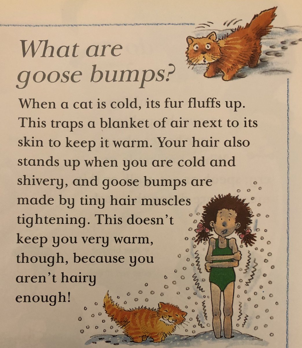 Most of us are a bit hairier than we were before the lockdown.