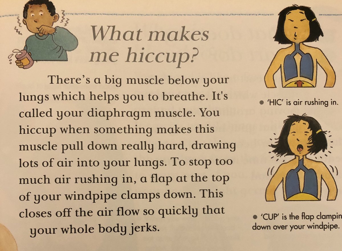 Yup, my whole body jerks when I get hiccups too!