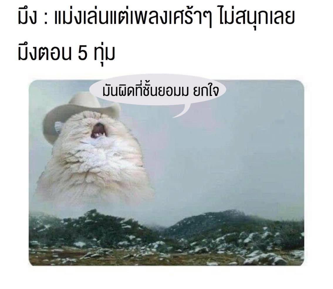 KKU Meme tweet media