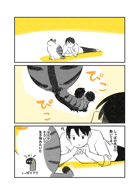 ふじひと Delpilotの漫画作品一覧 ふじひと Delpilotの漫画作品一覧
