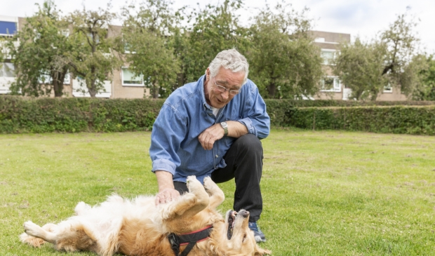 Stichting OOPOEH zoekt senioren en honden in Bunnik en omgeving [BUNNIK] Baasjes zoeken vaak een vertrouwde oppas voor hun hond. Senioren willen graag de gezelligheid van een dier maar niet de continue zorg. Koppel die twee aan elkaar en iedereen is bl... twib.in/l/oXr5KXLrqb8a