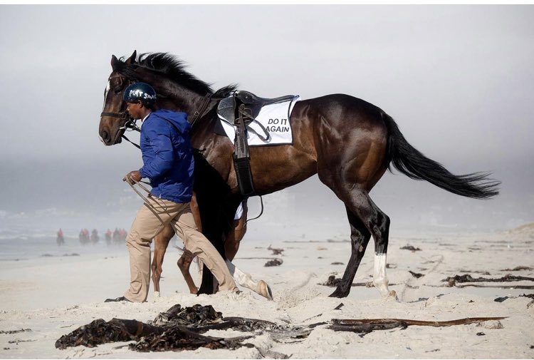 Retweet if you think DO IT AGAIN can write himself into the history books to win the Vodacom Durban July for a record THIRD time. #DoItAGAIN 🇿🇦