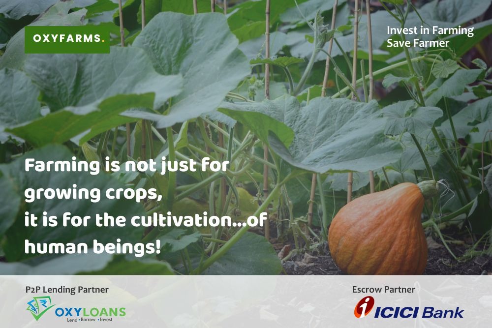 oxyfarms's tweet photo. Farming is not just for growing crops, it is for the cultivation...o f human beings!
For more Information Visit https://t.co/Fvsl44eVQv
#OXYFARMS #OXYLOANS #ICICIBank #agriculture #CivilizedLife #business #partnerships #inspiration #technology #marketing #culture #management https://t.co/3ZwJLzO6BW