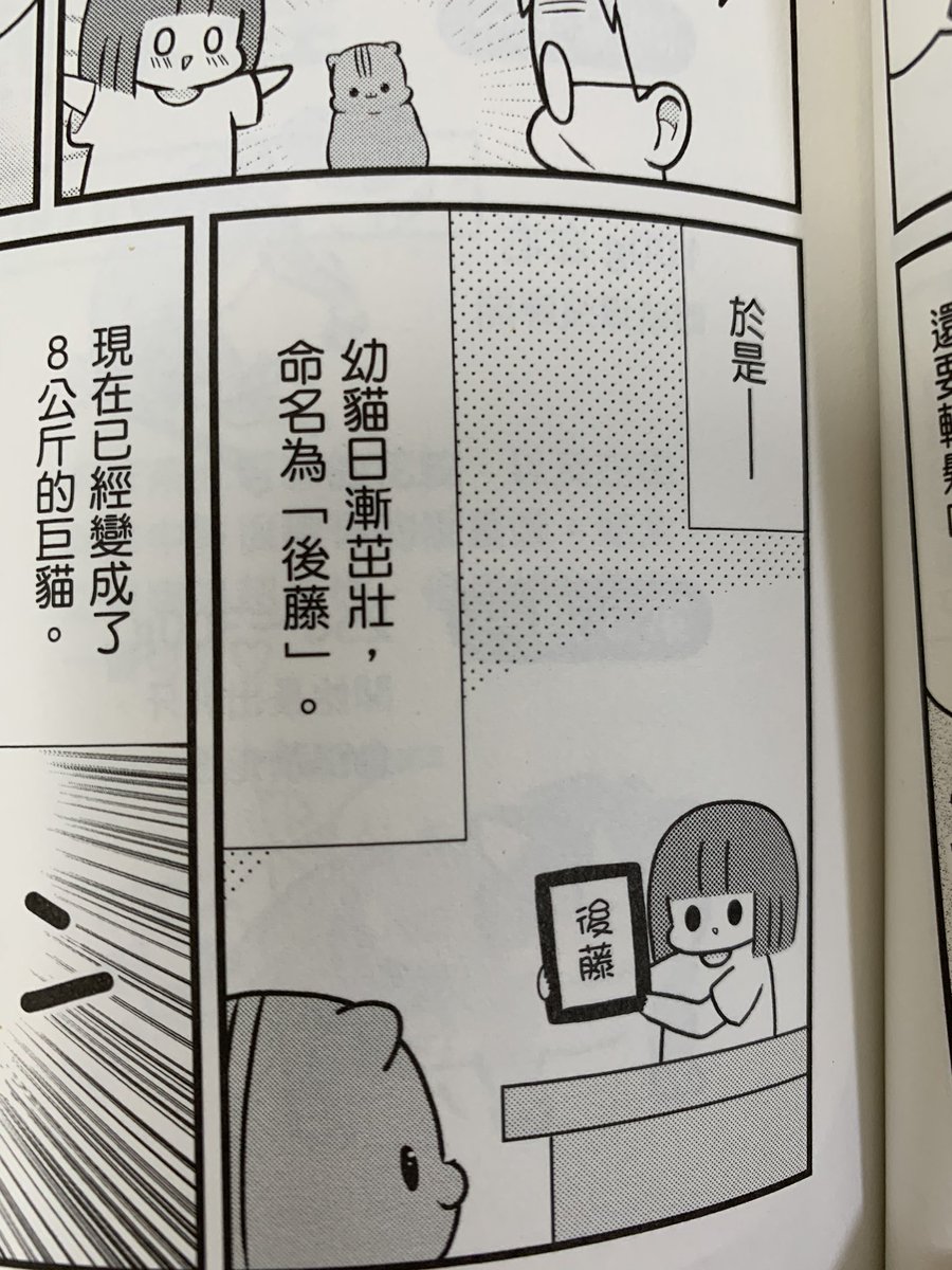 台湾版のこの本の見本誌をいただいたんだけど、ごとうって漢字で書くと後藤なんだなー 