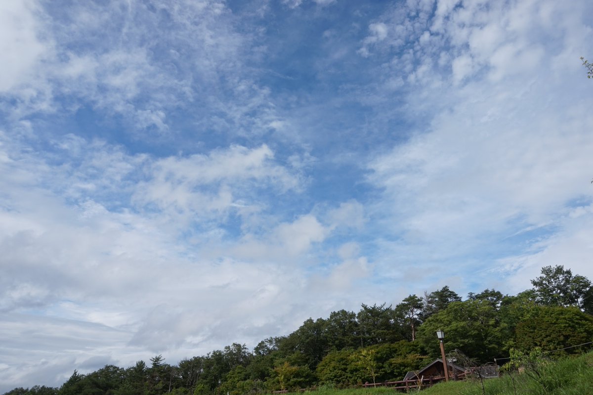 旭高原 元気村 長い雨が続いていますが 久しぶりに青い空が見えました 大型の蝶も嬉しそうに花ショウブの周りを飛んでいました 明日の天気予報も曇りのち晴れと良さそうです 旭 旭高原 元気村 旭高原元気村 豊田市 豊田 観光