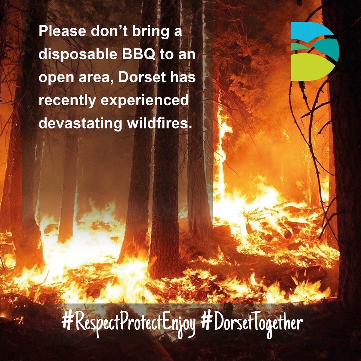 Now that everyone can get out and enjoy Dorset, we want visitors and locals to #staysafe, so we're asking people to be respectful of our communities. PLEASE don't bring a disposable BBQ to an open area. The impact of recent devastating wildfires in Dorset continues to be felt.