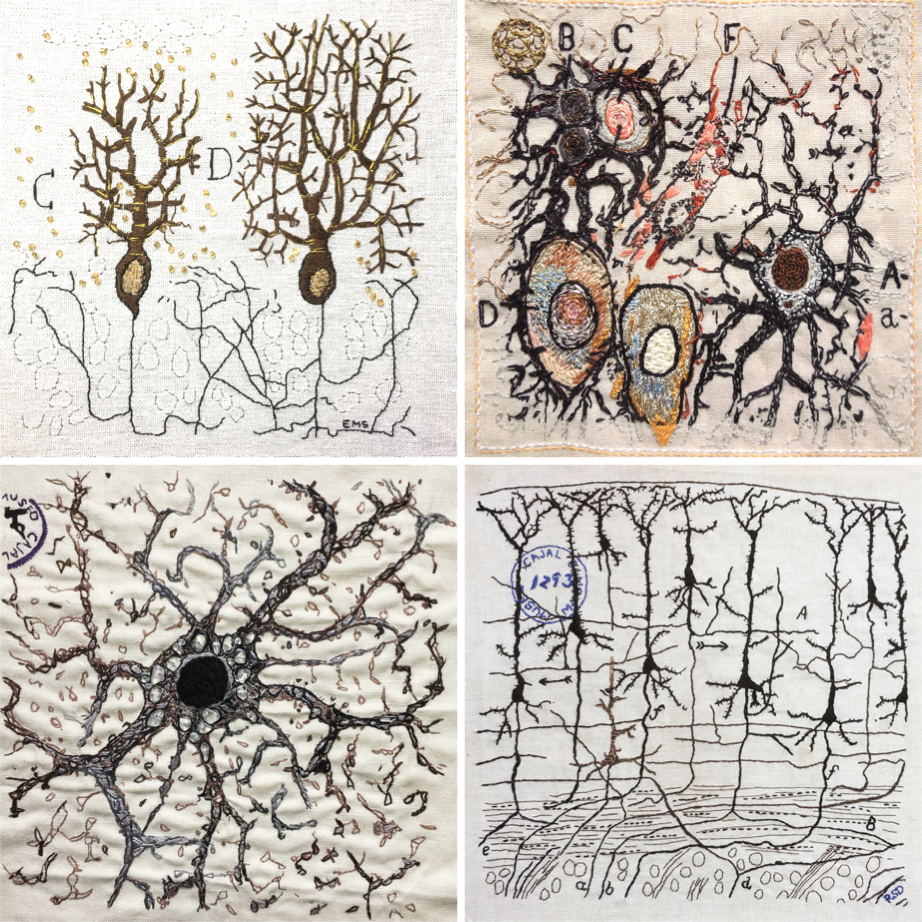 Join us in the Open Theatre for the Cajal Embroidery Project to celebrate 100 years of the <a href="/InstitutoCajal/">Centro de Neurociencias Cajal - CSIC</a>
A wonderful creative project involving 77 people from 7 countries, curated by <a href="/EdinUniNeuro/">Edinburgh Neuroscience</a>,  now featured in the Open Theatre #FENS2020