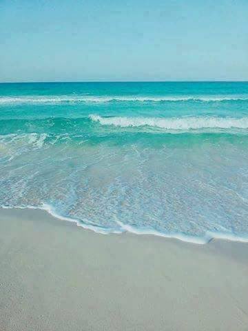 شاطئ باجوش 🌊
😍يعتبر باجوش من أجمل الشواطئ،ويبعد عن مدينة مطروح حوالي 48 كم شرقًا،ويمتاز بهدوئه وإمكا...