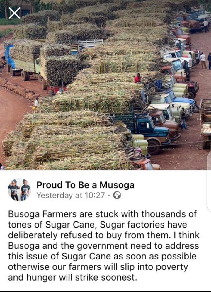 I am sorry to be the one to tell you this but.... unfortunately we have no government. All we have are thieves in power.
Financial liberation loading..