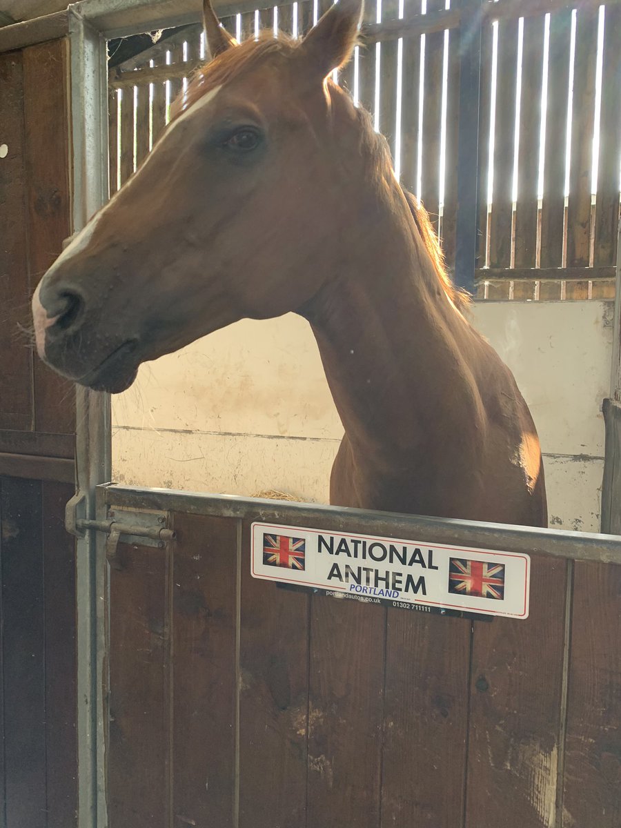 PortlandAutos's tweet image. Good luck to our horse National Anthem in the 3-50 at Ascot today. Remember @CamHardie_96  ridehimlikeyoustolehim  🏇🏼😜