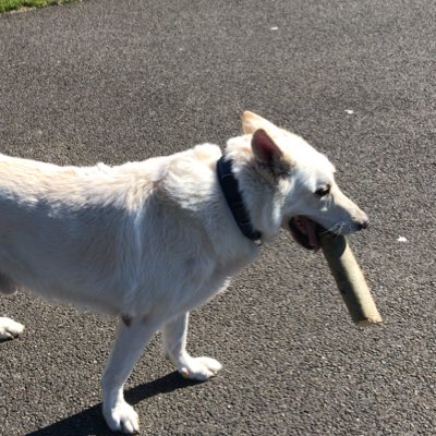 PimWillemsen's tweet photo. #nieuweprofielfoto https://t.co/QZhCPGBVBr