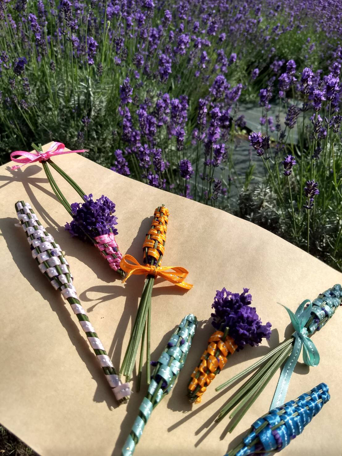 さっぽろ羊ヶ丘展望台 今日はお天気に恵まれて たくさんの方がラベンダーの刈取りに来てくれました 刈り取った ラベンダーはどうするの はい そういった声にお応えします ドライフラワーにしたり 乾燥させて細かく刻んでポプリにしたり