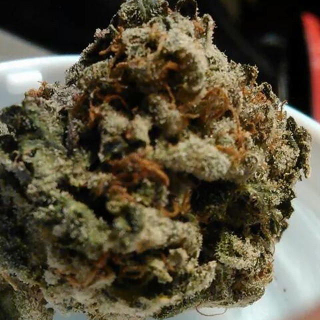 JayKay19790790's tweet image. High quality, bulk at low. Cali best buds, wax, different strains of pre roll, carts,  king pens, brass knuckles. Local and international delivery. Contacts:

Wickr: @kay421
Snapchat: @Theo_20