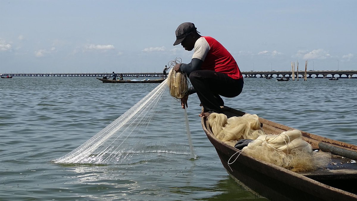This week in our #Newsletter ➡️ bit.ly/2C0UxG7

🔸BENIN 🇧🇯: Shellfish harvesting, a reliable income for the population

🔹NIGERIA 🇳🇬 : In Lagos lagoon, tourims revenue allows fishermen to fund the introduction of non-native species
 
#Sipanews #Rejopra