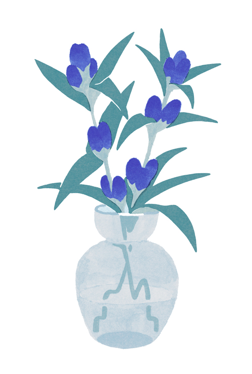 flower no humans simple background blue flower still life plant vase  illustration images